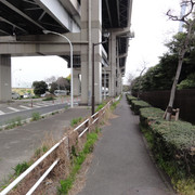 2011-04-22-Ojima-021