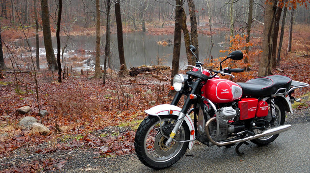 guzzi-beaver