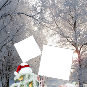 16345625