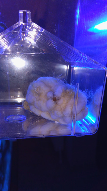 IMG 20180903 202238