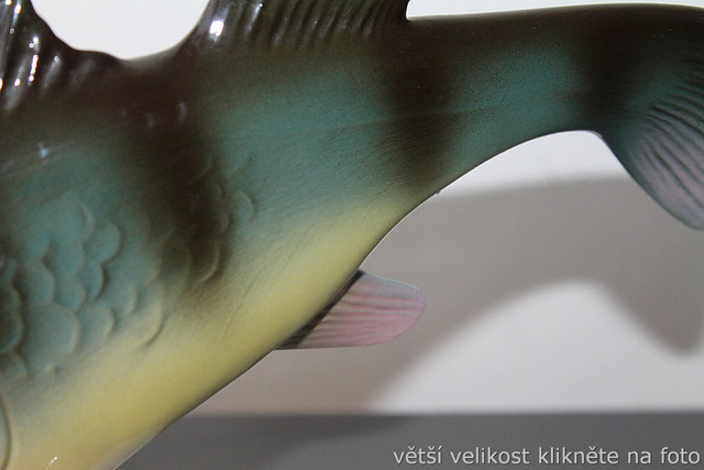 IMG-7885.jpg