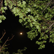 100c010082m1