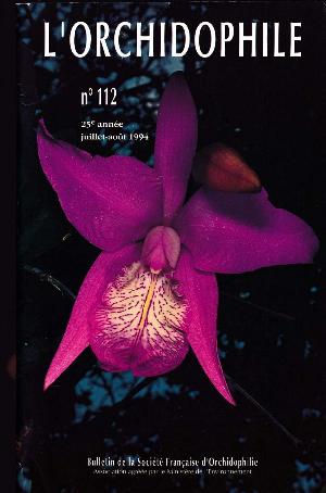 orchido112.jpg?042148