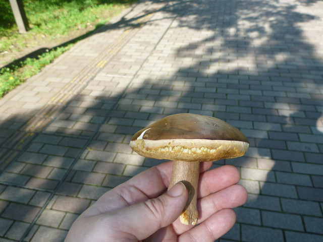 P1320135