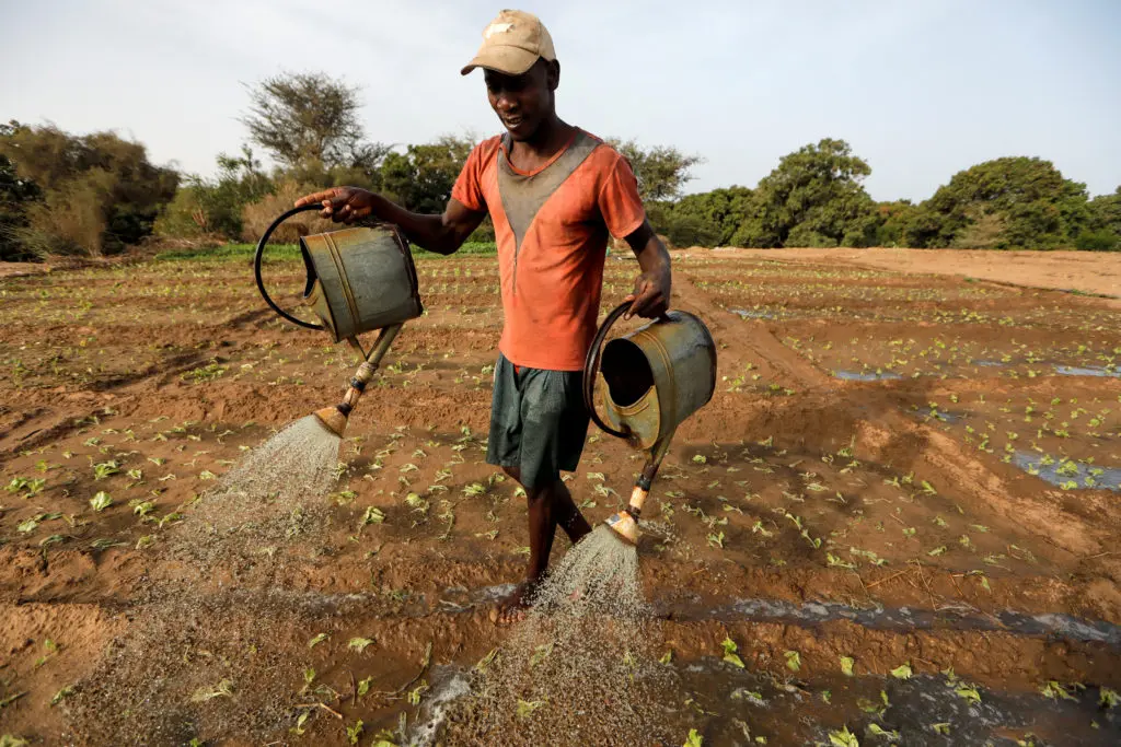 <title>Farmers Explore Fertilizer Alternatives Amid Rising Prices from Iran Conflict</title>