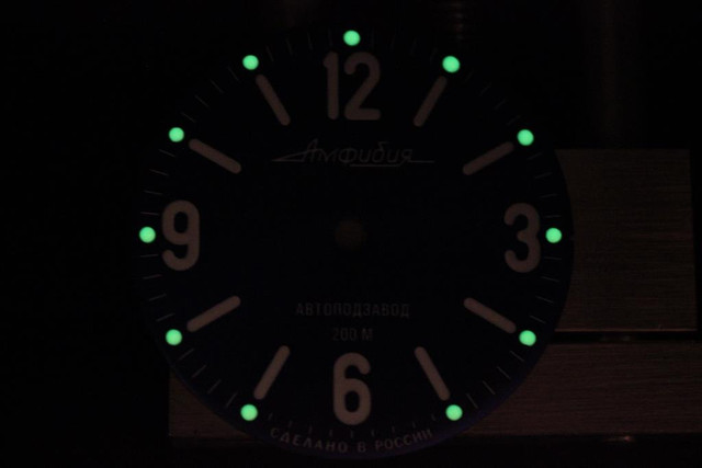 IMG-4736.jpg