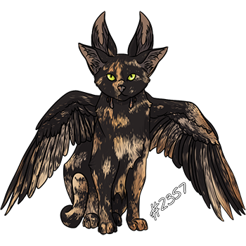 Pet Image