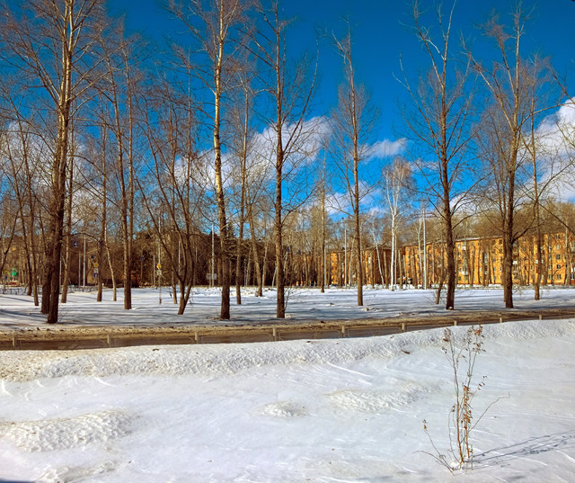 DSCF6162a.jpg