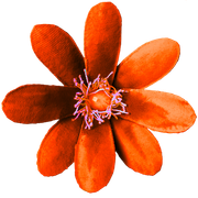 Daisy-Fairy-Elements-16