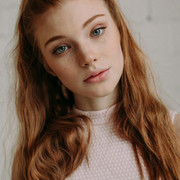 IMG 4684