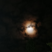 IMG-20211121-040810