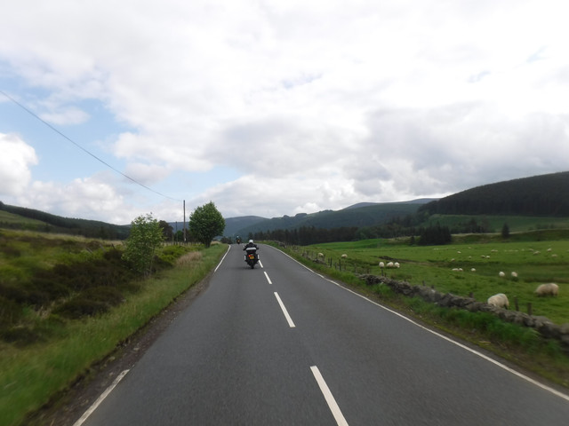 DSCF7929.jpg