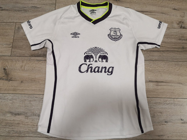 everton-14-third1.jpg