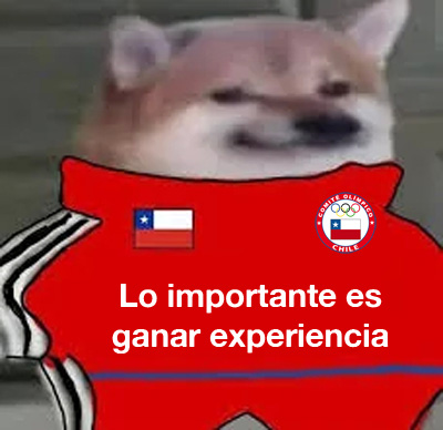 perrococh.jpg