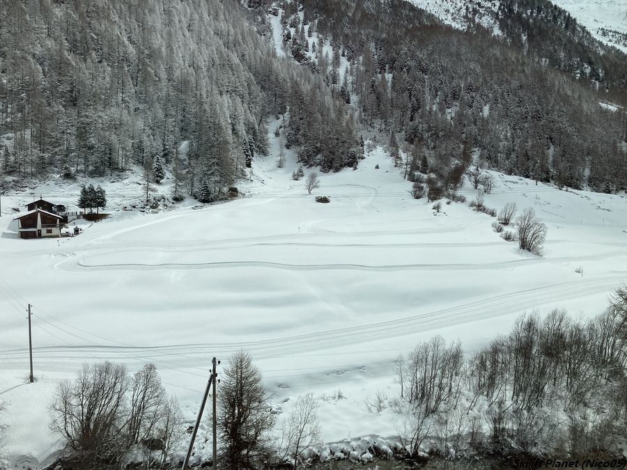 IMG-4534.jpg