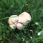 IMG-5189