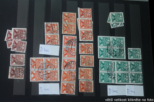 IMG-3592.jpg