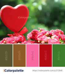 images-1.jpg