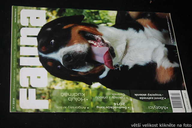IMG-7741.jpg