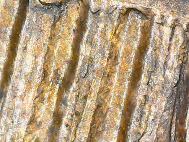 Is-This-A-Mint-Damaged-1908-IHC.-Looks-Double-Struck-To-Me.