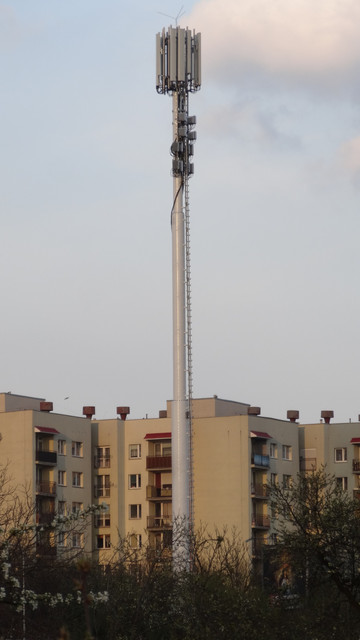 DSC09992