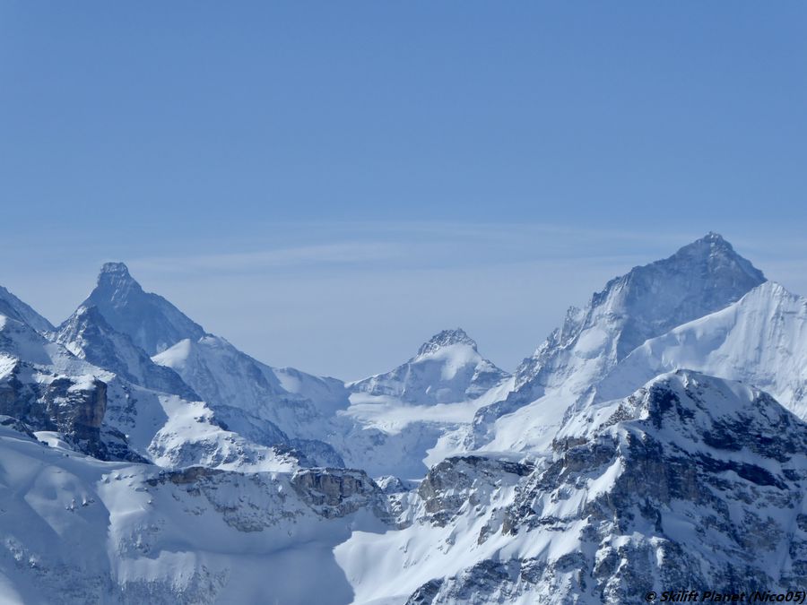 IMG-E4320.jpg
