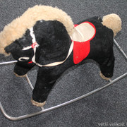 IMG-8855