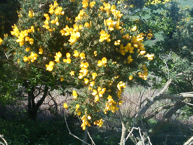 DSC00212