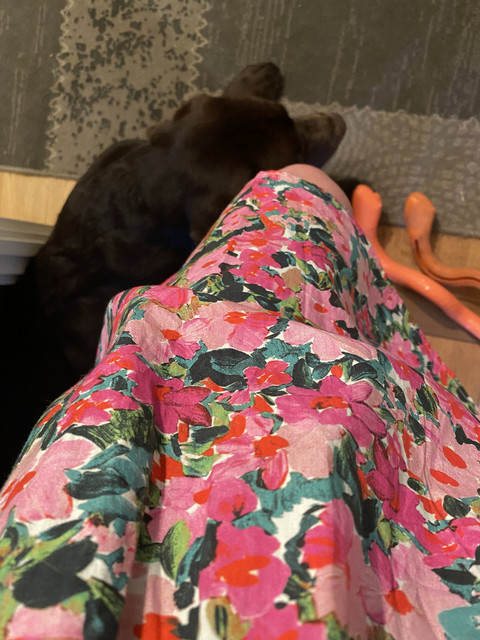 F5-CB3-D92-48-C6-481-B-B986-BEB5-F219160