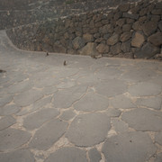 DSC00883