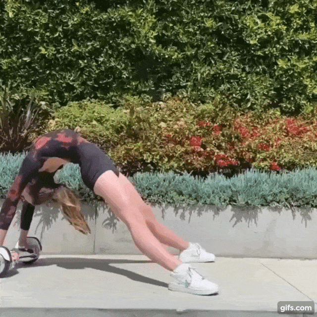 31.gif