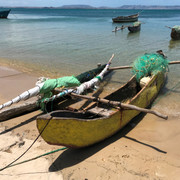 IMG-3318