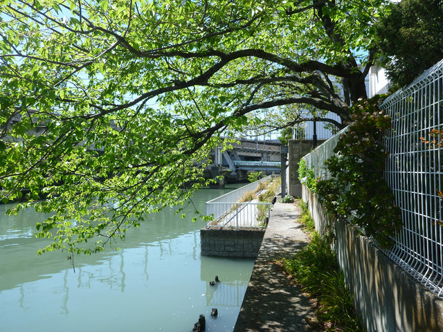 P1150094.jpg