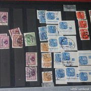 IMG-3566