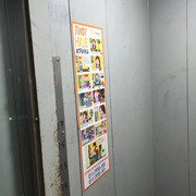 IMG-4848