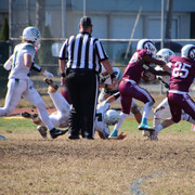 IMG-3795