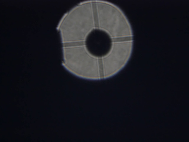 P1000161
