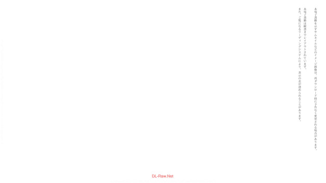 DLRAW-NET-3