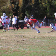IMG-1499