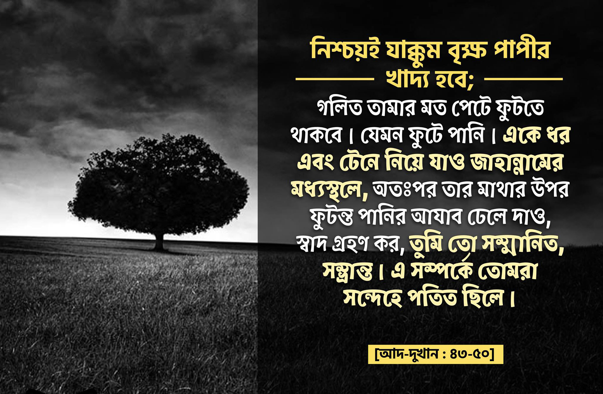 জাক্কুম ফল, জাহান্নাম