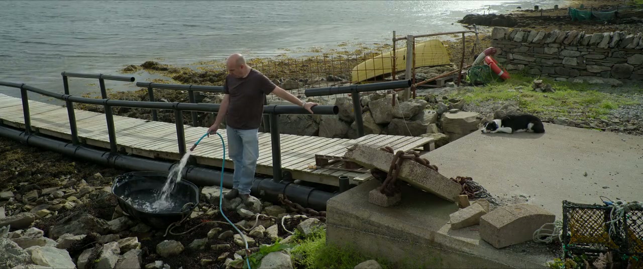 Billy & Molly: An Otter Love Story Screenshot