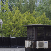 DSC5467