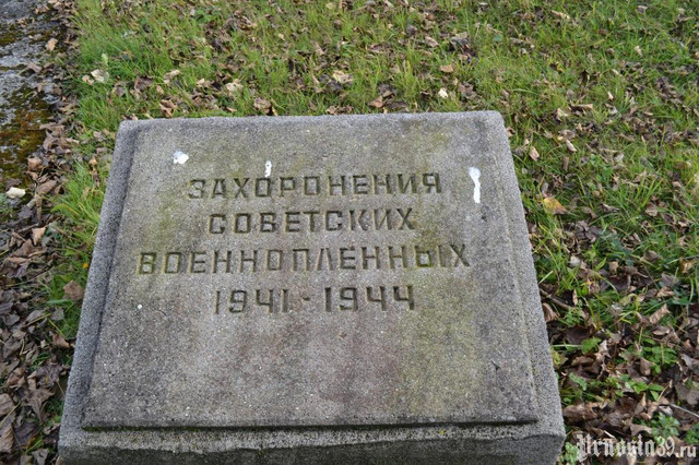 https://i.ibb.co/jk3CqQJP/image.jpg