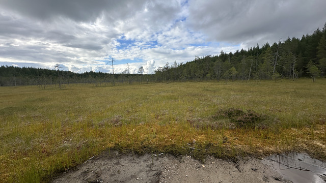 IMG 4747.jpg