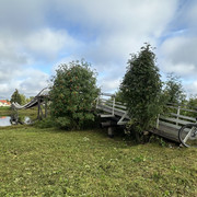 IMG 5286