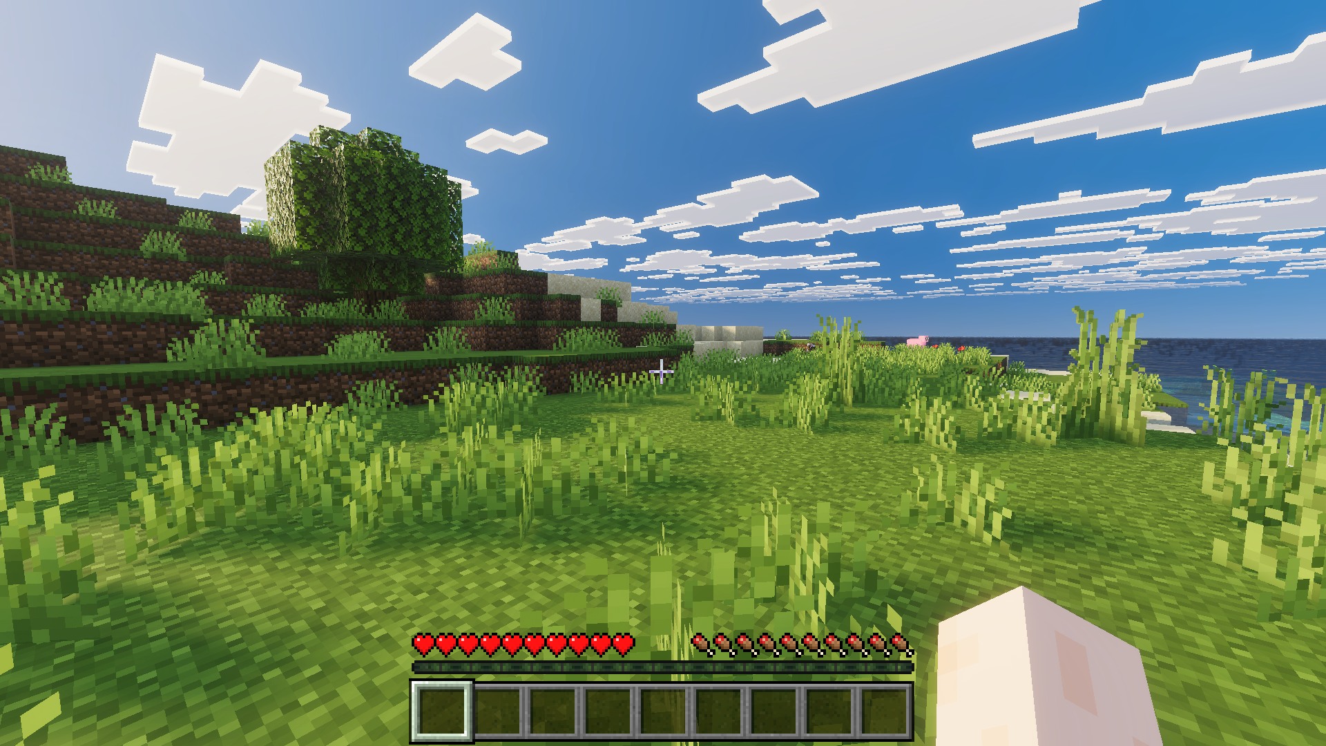 preview4