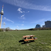 IMG 8951