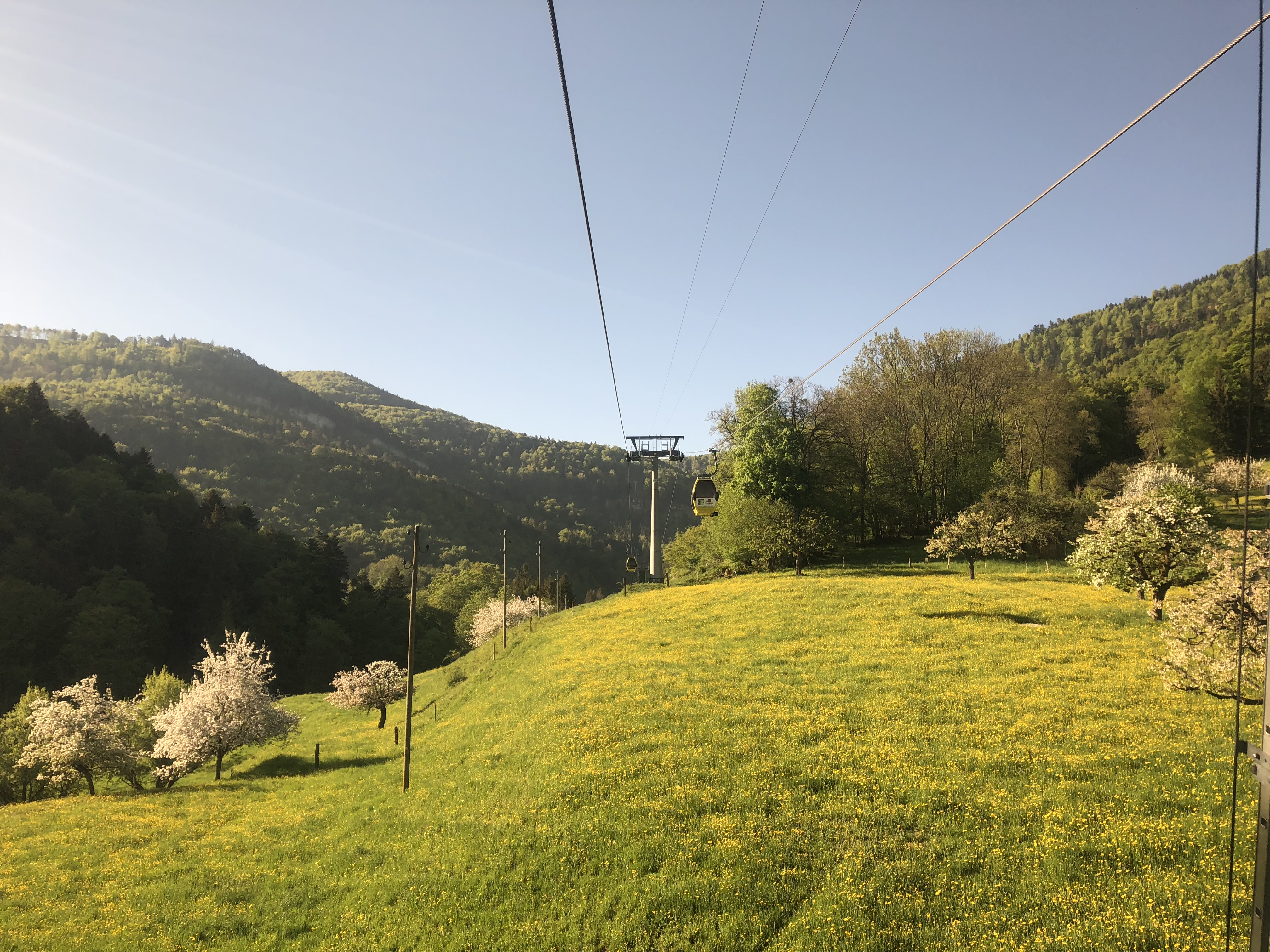 IMG-0864.jpg