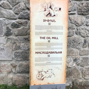 IMG-1449