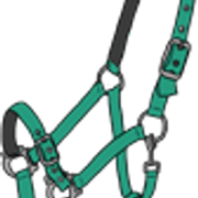 riimu9 6